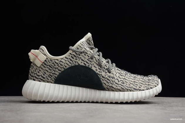 350 Adidas Dove Turtle YEEZY AQ4832 Boost 1001